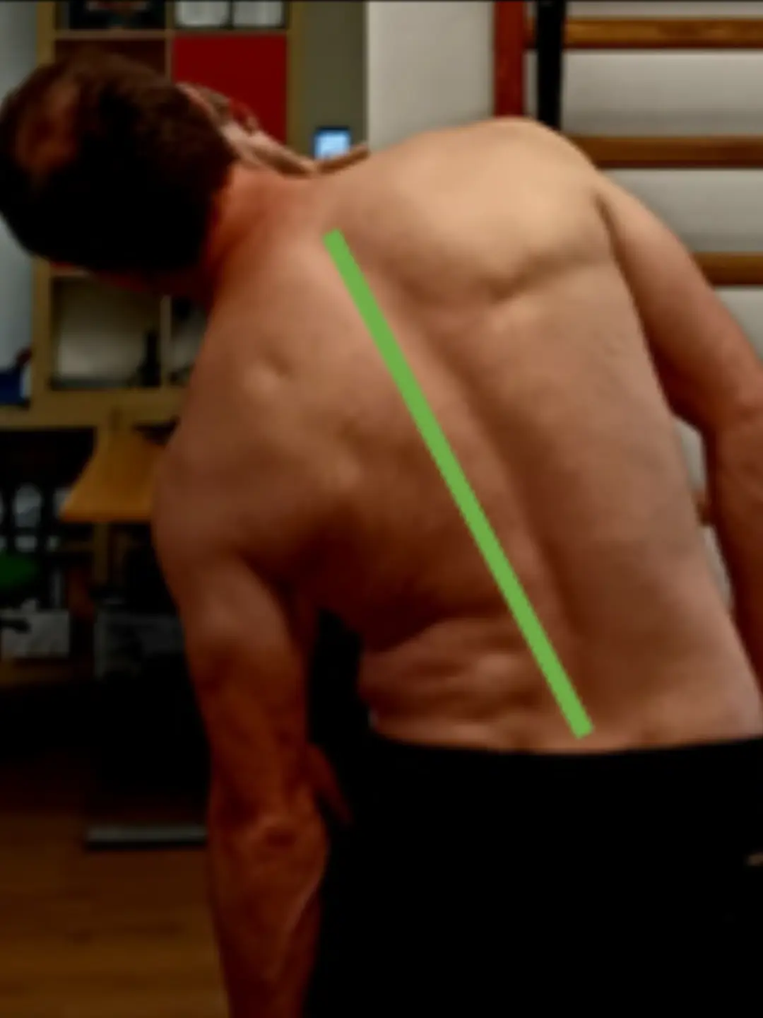 Lateralflexion Links